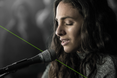 Shure SM86 Cardioid Condenser Vocal Microphone for Live Performance
