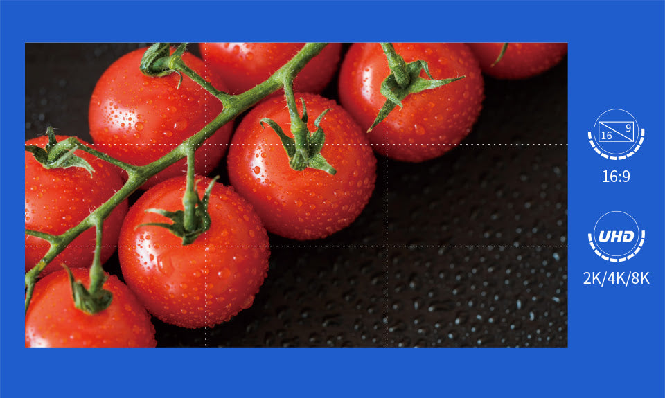 BIM MAX Series 16:9 Indoor Commercial LED Display
