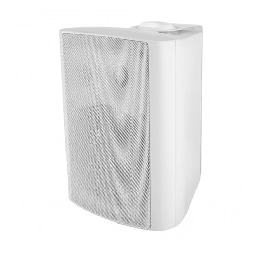 Alfatron 5-Inch 2-Way 30W Surface Mount Wall Loudspeaker