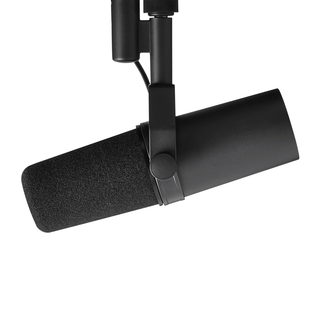 Shure SM63 Omnidirectional Dynamic Microphone for Professional Broadcast & Interview Use