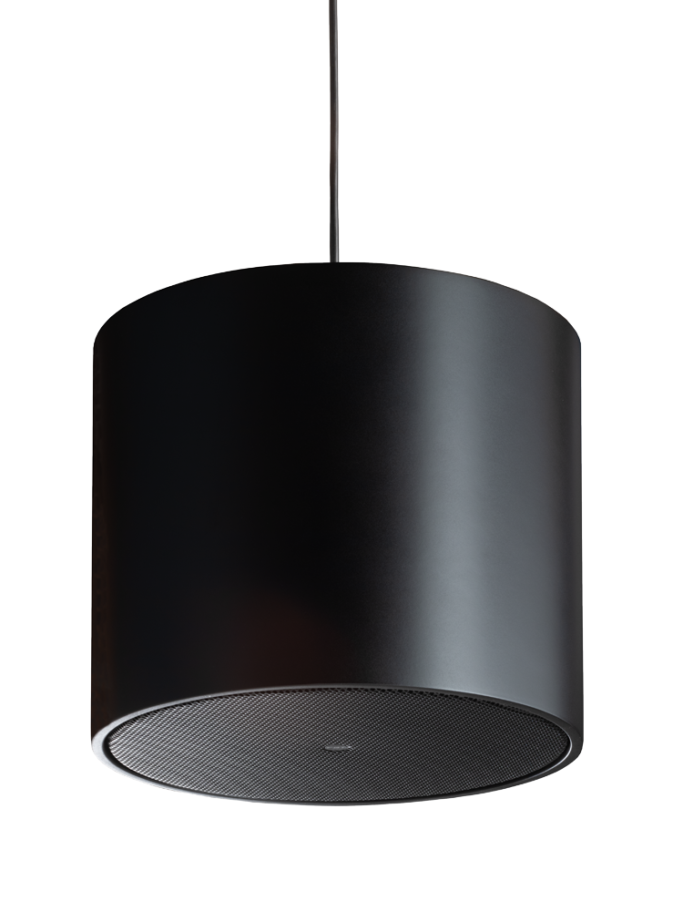 FBT LIBRA 8S Passive 8-Inch Pendant Subwoofer for Professional Installation