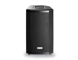 FBT Ventis 110 Passive 10 Inch Professional Point Source Speaker