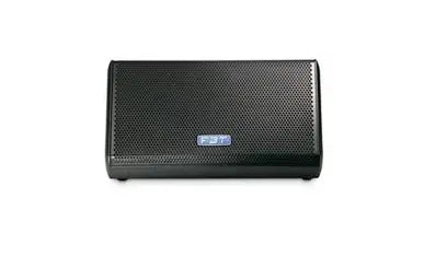 FBT MITUS 210M Professional Passive Dual 10 Inch Stage Monitor