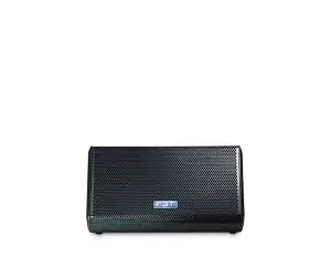 FBT MITUS 210MA Active Stage Monitor Dual 10 Inch Woofer