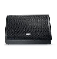 FBT Ventis 112M Professional 12 Inch Passive Stage Monitor