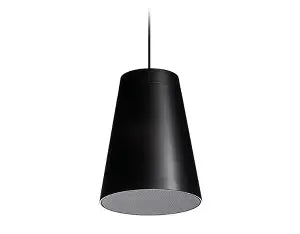 FBT Libra 5CT Professional 5-Inch Passive Pendant Speaker System