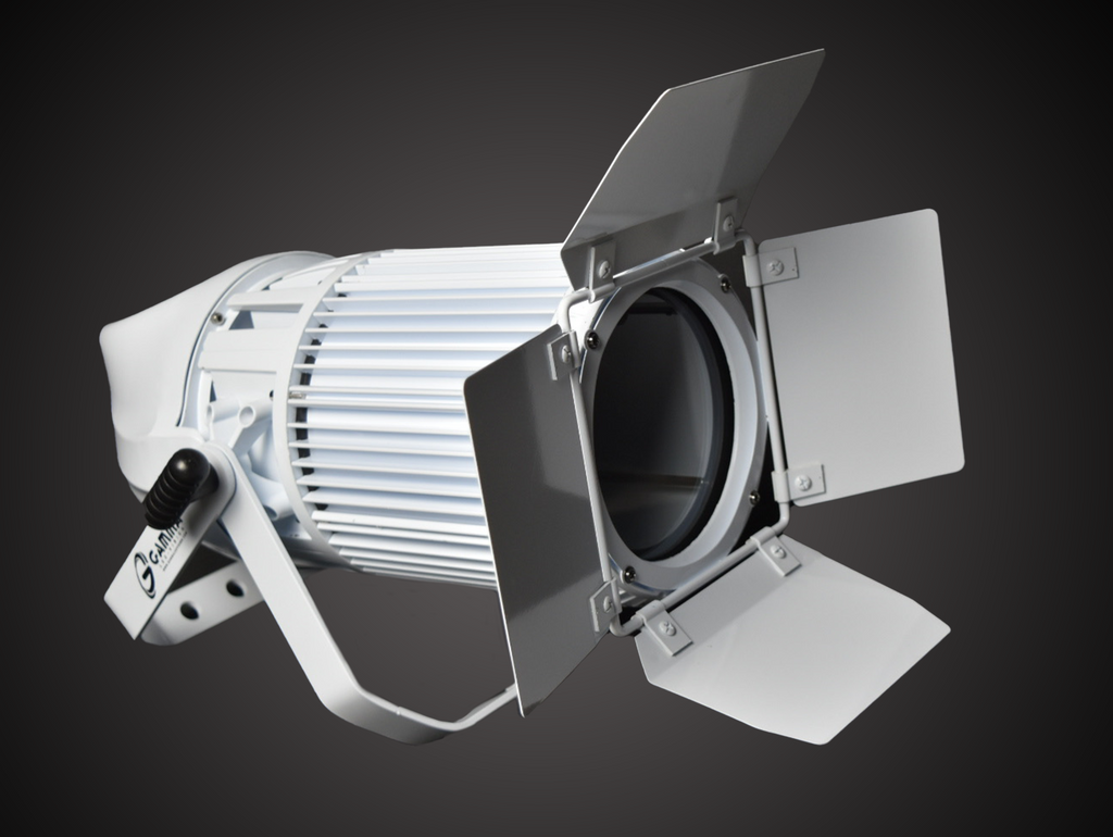 https://gammaledvision.com/wp-content/uploads/2021/01/Rose-White-e1672886753792.png