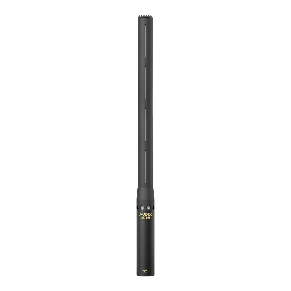 https://cdn.audixusa.com/media/catalog/product/i/n/installed-sound-audix-microboom-ax-m1255bs.png