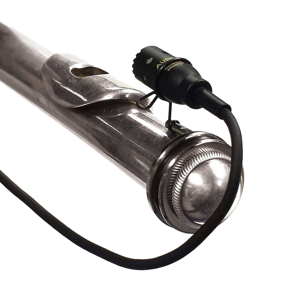 https://cdn.audixusa.com/media/catalog/product/i/n/instrument-microphones-audix-ax-adx10flp-02.png
