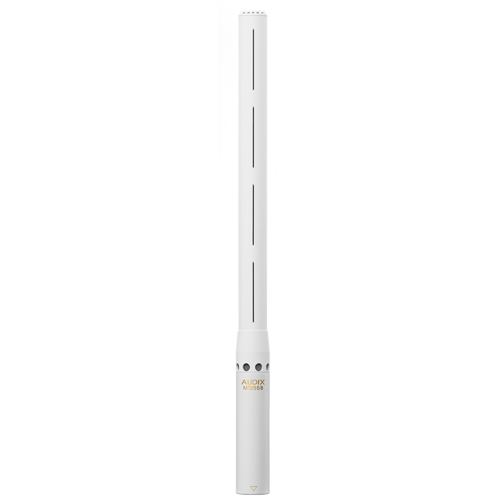 https://cdn.audixusa.com/media/catalog/product/t/h/the-micros-audix-ax-m1255b-02.png